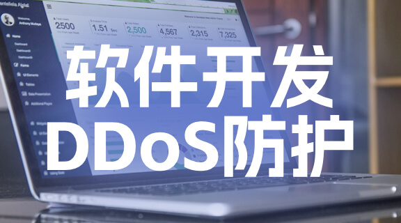 软件开发DDoS防护.jpg